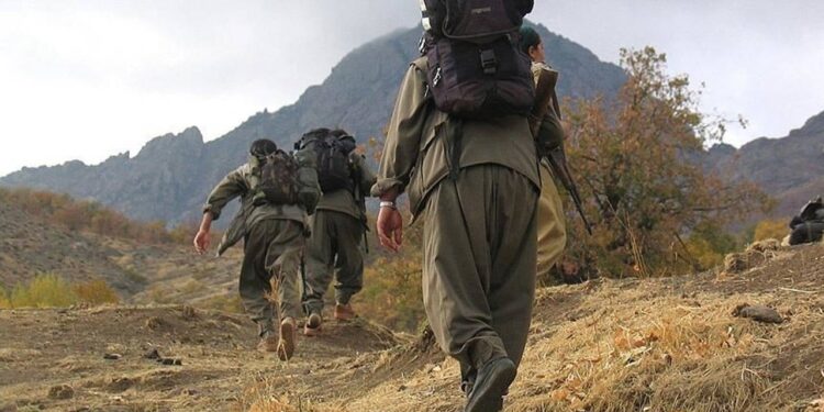 Selvi'den PKK ve MİT iddiası