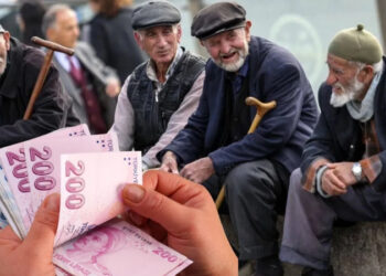 Tamamlayıcı Emekliliğe işçi ve patronlardan vize yok!