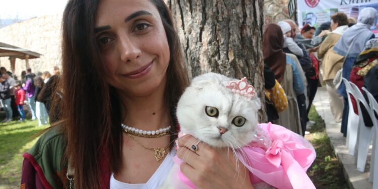 Tokat'ta Kedi Güzellik Yarışması Düzenlendi