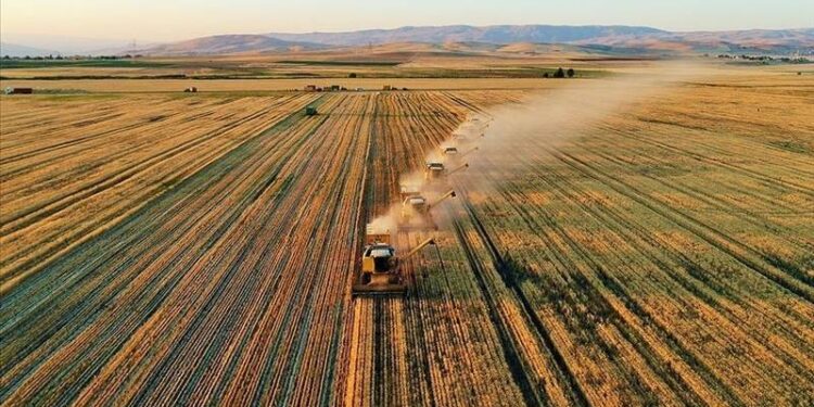 Toplulaştırılan tarım arazileriyle bütçeye yılda 47 milyar TL katkı