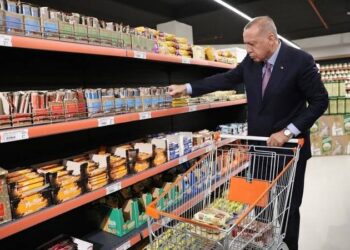 Türkiye'de gıdaya erişim zorlaştı; sepet küçüldü