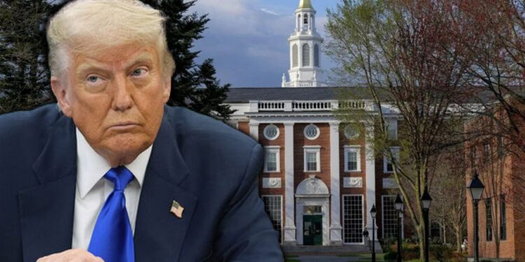 Uluslararası Öğrencilerin Alımını Durdurmuştu... Harvard’dan Trump Yönetimine İkinci Dava! 'Anayasayı İhlal Ediyor'