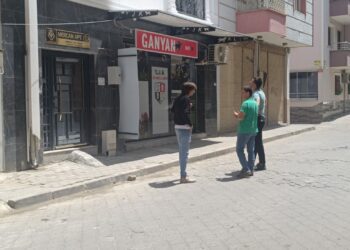 Vahşetin Adresi Manisa! Sokak Kedisini Pompalı Tüfekle Katletti, Serbest Bırakıldı