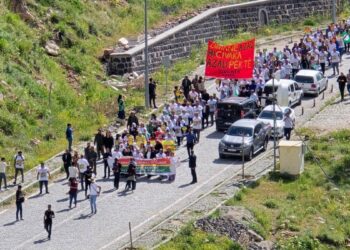 Ehmedê Xanî Türbesi’ne yürüyüş: Kürtçeye statü tanınsın