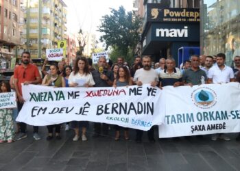 Ekolojistler ayakta: ‘Kıyım’ yasasını geri çekin
