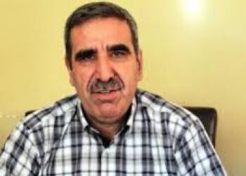 HDP eski İl Eşbaşkanı Leygara’ya ceza