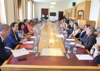 Akdeniz Kadın Arabulucular Ağı DEM Parti ile görüştü