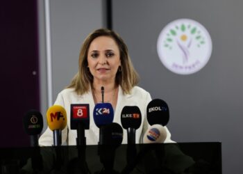 Ayşegül Doğan: Komisyon için taslağımız hazır