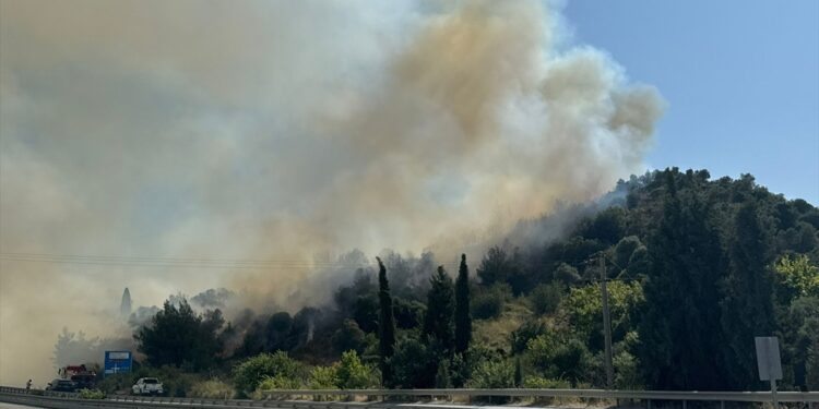 Aydın’da tarım alanlarında yangın