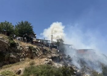 Balıkesir’de 2 bölgede orman yangını