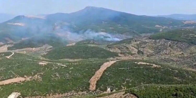 Ege’de çok sayıda yangın