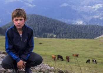 Bakırhan’ın bayramlaştığı Eren Bülbül’ün annesi: Artık anneler ağlamasın