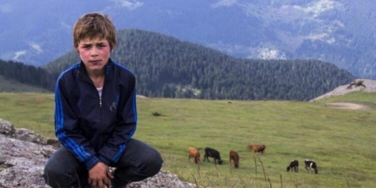 Bakırhan’ın bayramlaştığı Eren Bülbül’ün annesi: Artık anneler ağlamasın