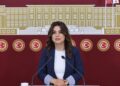 DEM Parti: Meclis’te komisyon kurulması en acil görev