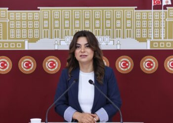 DEM Parti: Meclis’te komisyon kurulması en acil görev