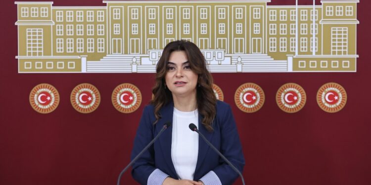 DEM Parti: Meclis’te komisyon kurulması en acil görev