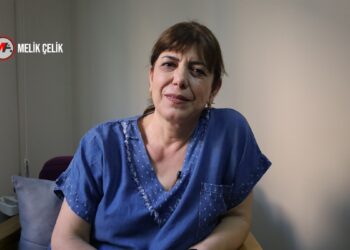 Meral Danış Beştaş: Ortadoğu’daki gelişmeler Türkiye’ye ‘iç sorunlarını çöz’ diyor