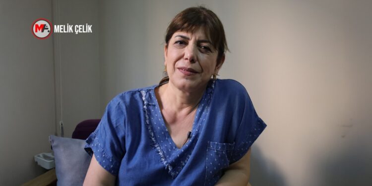 Meral Danış Beştaş: Ortadoğu’daki gelişmeler Türkiye’ye ‘iç sorunlarını çöz’ diyor
