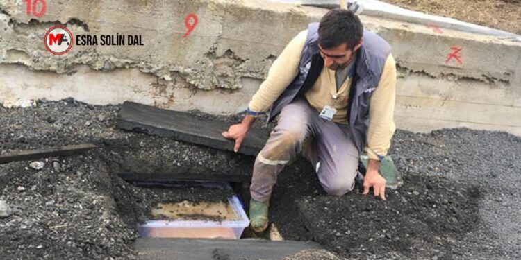 Yakınlarının kemiklerini arayan aileler: Adil ve eşit bir barışı hep birlikte inşa etmeliyiz