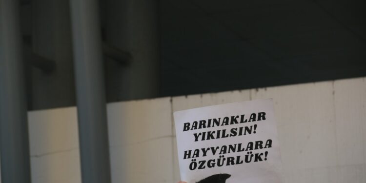 ‘Katliam yasası’ geri çekilinceye kadar mücadeleleri sürecek