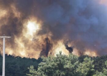 İzmir yangınlarında 1 tutuklama 3 gözaltı