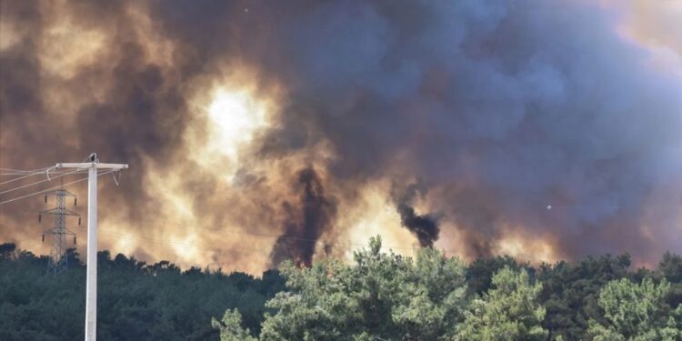 İzmir yangınlarında 1 tutuklama 3 gözaltı