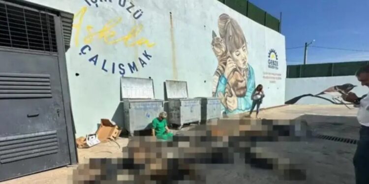 Hayvan katliamı dosyasında kamu görevlilerine soruşturma izni verilmedi