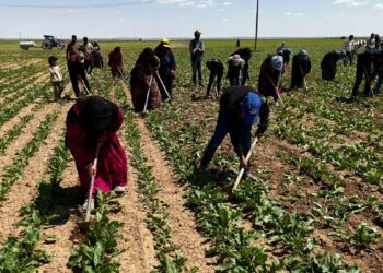 12 saat güneşin altında çapa sallayan işçiler: Geçinemiyoruz