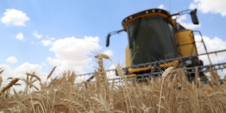 TMO buğday ve arpa alım fiyatını açıkladı: Çiftçi hüsrana uğradı
