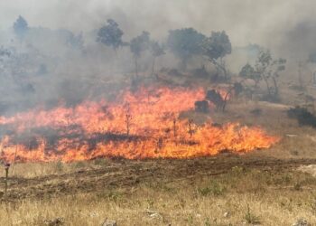 Şemrex’teki yangın bölgesi yeniden alev aldı