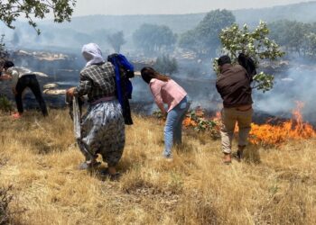 Şemrex’te tarım arazisinde yangın