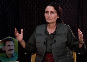 Besê Hozat: Biz gerekeni yaptık, Türk devleti adım atmalıdır