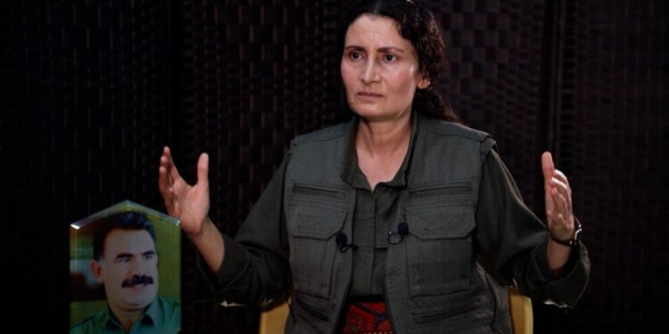 Besê Hozat: Biz gerekeni yaptık, Türk devleti adım atmalıdır