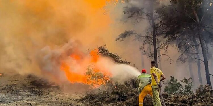 Bakan Yumaklı: Sadece bugün 67 yangın çıktı