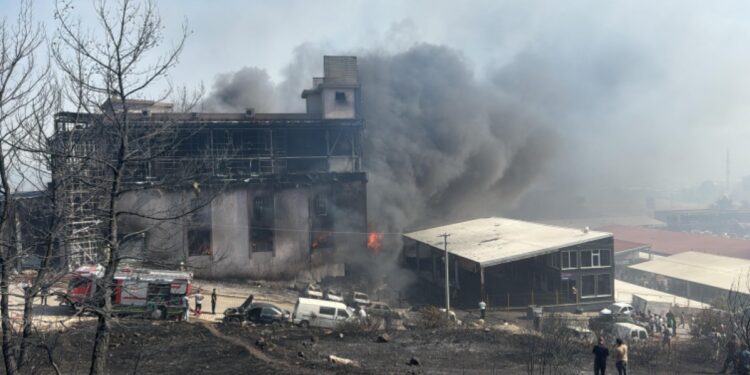 İzmir’de iki ayrı orman yangını: Evler tahliye edildi