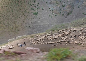 Feraşîn’in yolları berivanları bezdirdi