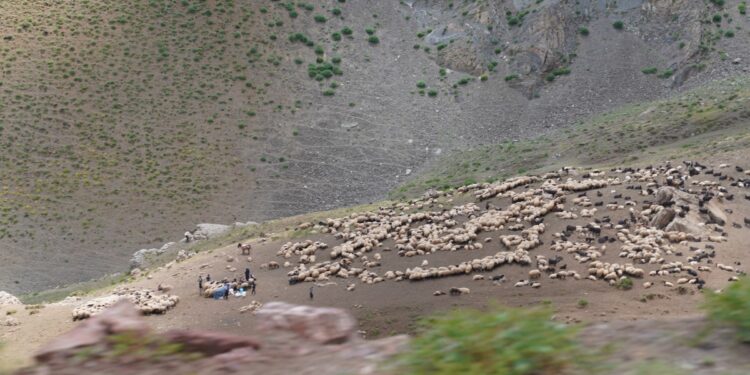 Feraşîn’in yolları berivanları bezdirdi