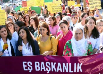 Wan’da kayyım protestosuna ceza