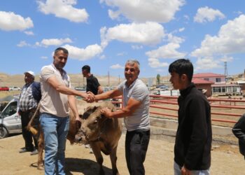 Kriz hayvan pazarını da vurdu: Ekonomi ancak barışla düzelir