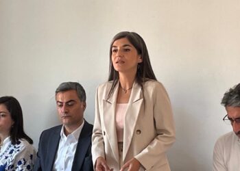 Kayyıma rağmen Şedal ve Zeydan başkanlığında toplantı: İstedikleri sonucu alamıyorlar