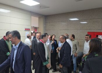 Wan Kent Konseyi Eşbaşkanı Doğan tahliye edildi