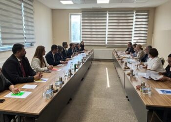 Yerine kayyım atanan eşbaşkandan Avrupa heyetine eleştiri