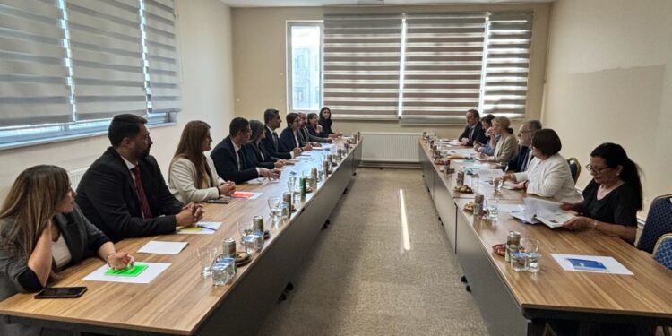 Yerine kayyım atanan eşbaşkandan Avrupa heyetine eleştiri