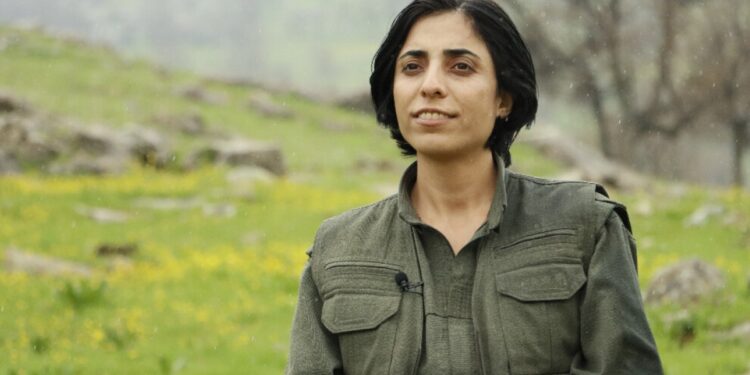 PJAK Eşbaşkanı Peyman Viyan: Kürtler temel haklarını istiyor