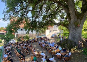 677 yaşındaki anıt meşe ağacı asırlardır buluşma noktası oluyor