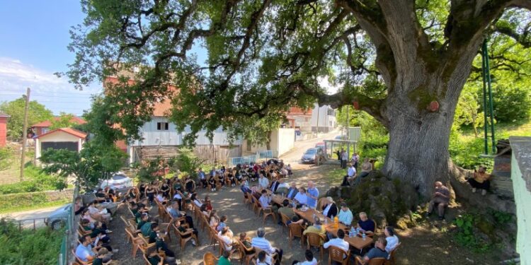 677 yaşındaki anıt meşe ağacı asırlardır buluşma noktası oluyor