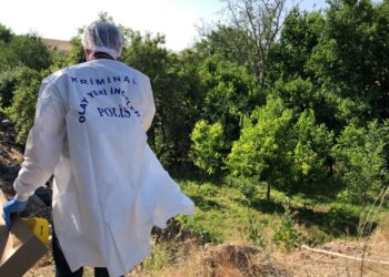 Ağaçlık Alanda Korkunç Olay! Görenler Dehşete Düştü