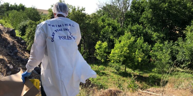 Ağaçlık Alanda Korkunç Olay! Görenler Dehşete Düştü