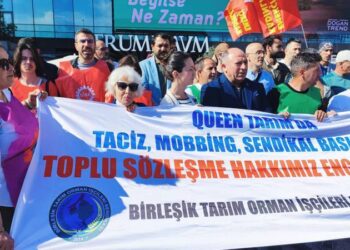 Akademisyenler, Queen Tarım İşçileriyle dayanışma için imzacı oldu