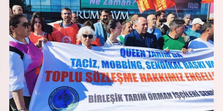 Akademisyenler, Queen Tarım İşçileriyle dayanışma için imzacı oldu